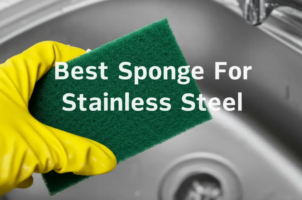 Best Sponge For Stainless Steel