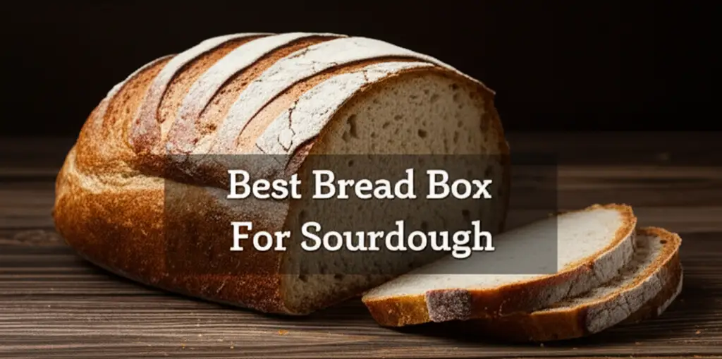Best Bread Box For Sourdough