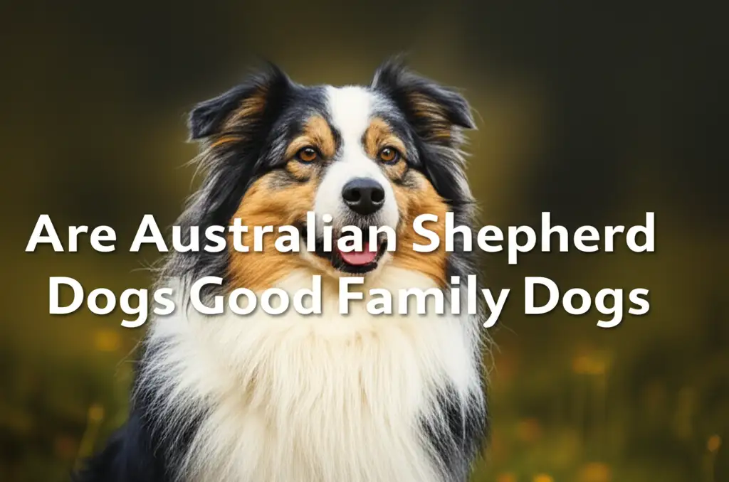 Are Australian Shepherd Dogs Good Family Dogs