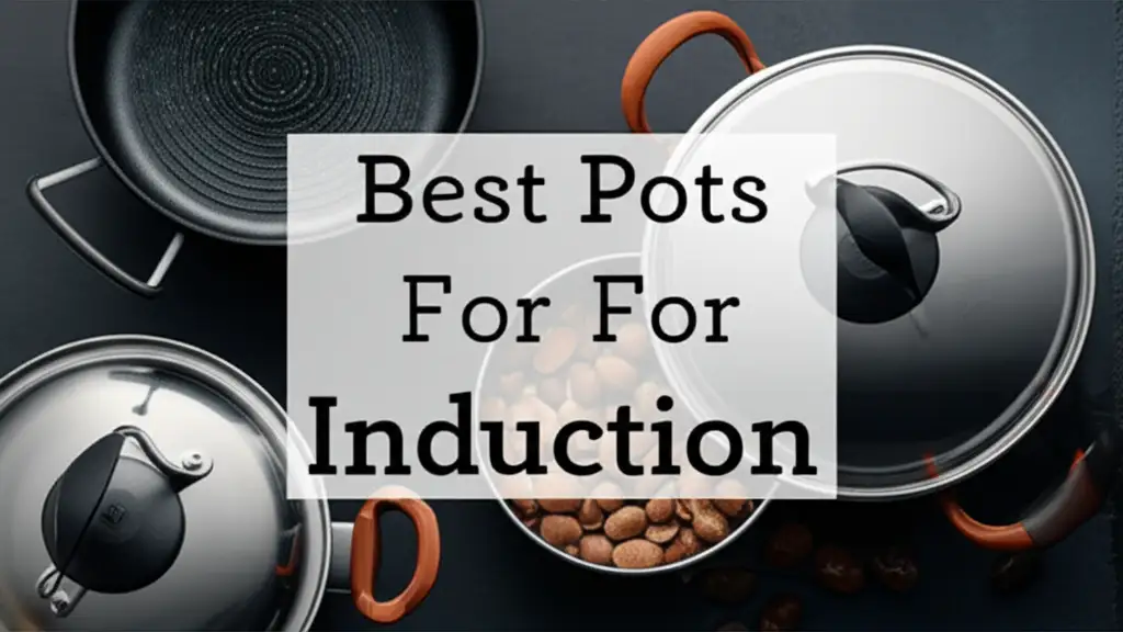 7 Best Pots For Induction of 2025