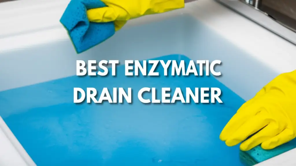 Best Enzymatic Drain Cleaner