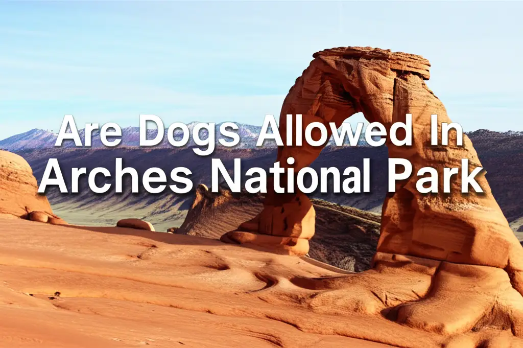Are Dogs Allowed In Arches National Park
