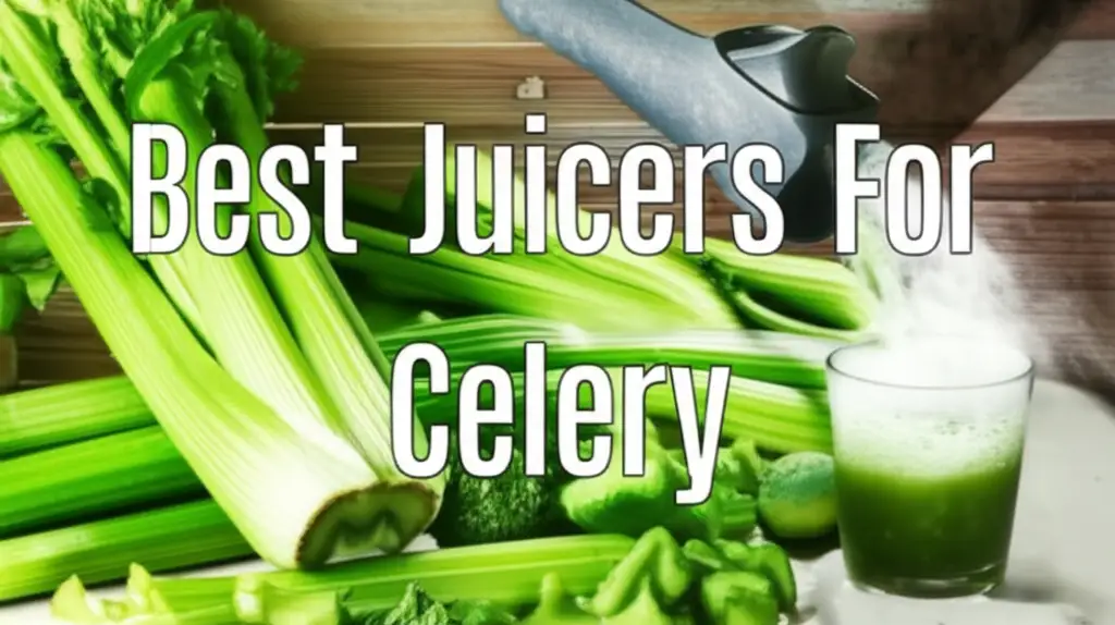 Searching for the best juicers for celery? We tested dozens of models to find top performers that deliver maximum yield and nutrients for your daily juice.