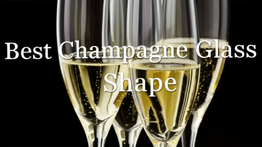 8 Best Champagne Glass Shapes for 2025