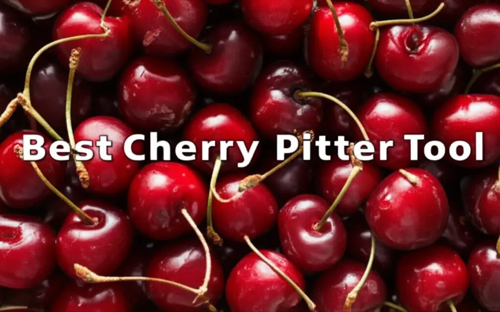 8 Best Cherry Pitter Tool for 2025
