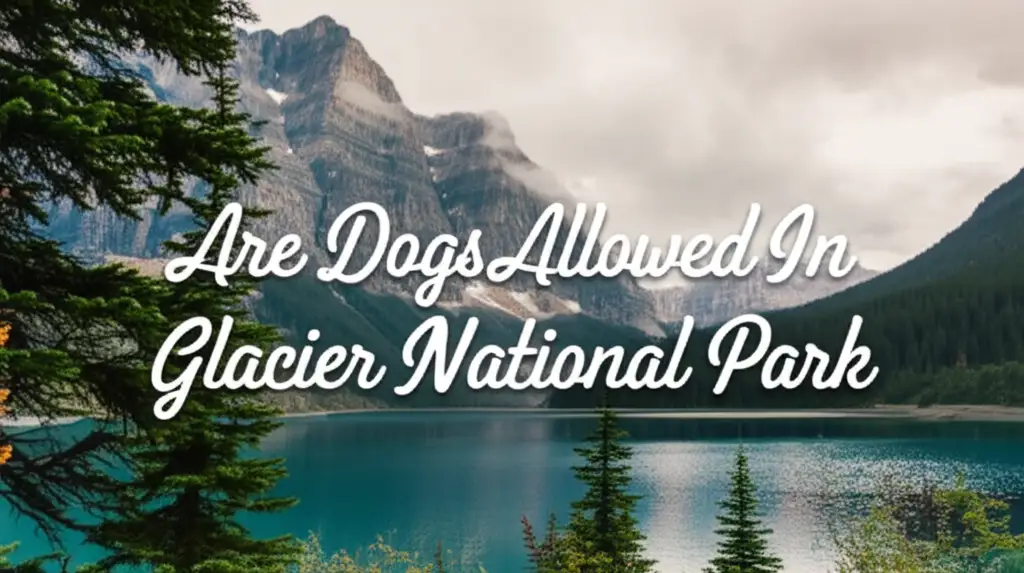 Are Dogs Allowed In Glacier National Park