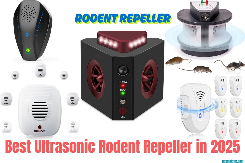 Best Ultrasonic Rodent Repeller in 2025 Top Picks for a Pest-Free Home