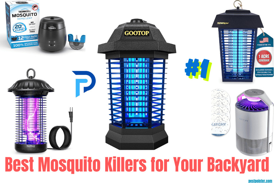 Best Mosquito Killers for Your Backyard 2025 Guide to Mosquito Control