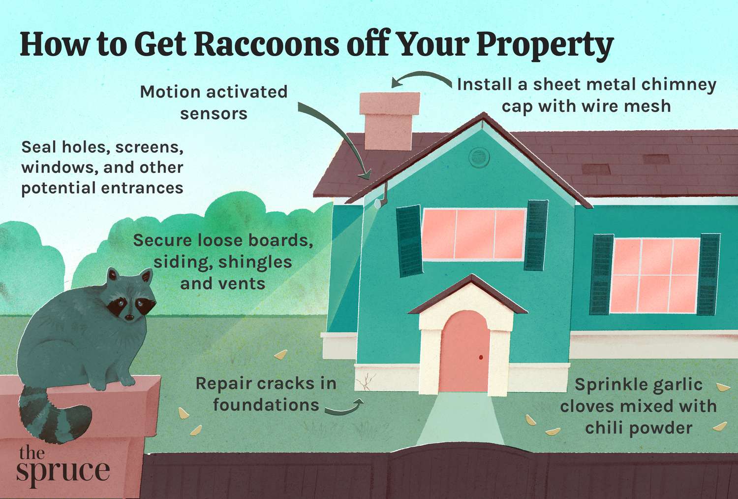 How to Repel Raccoons Effective Strategies for a Raccoon-Free Yard