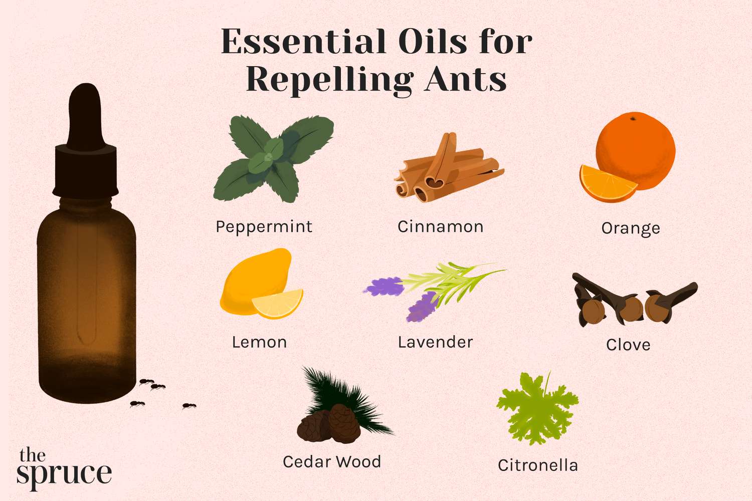 What Smell Do Ants Hate Top Scents to Repel Ants