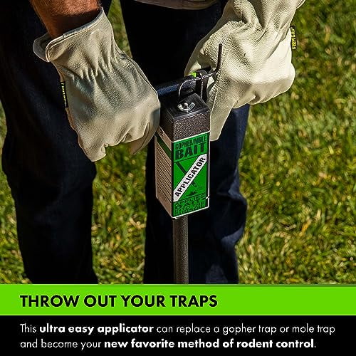 3 Safe Rodent Repellent Methods for Yards Effective and Natural Solutions