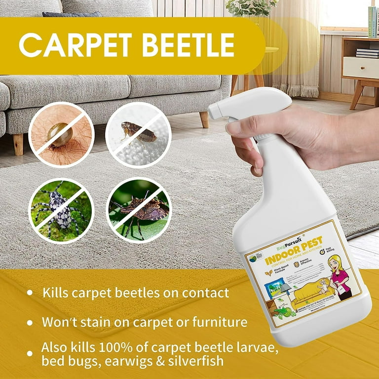 Spray for Carpet Beetles Effective Solutions for Pest Control