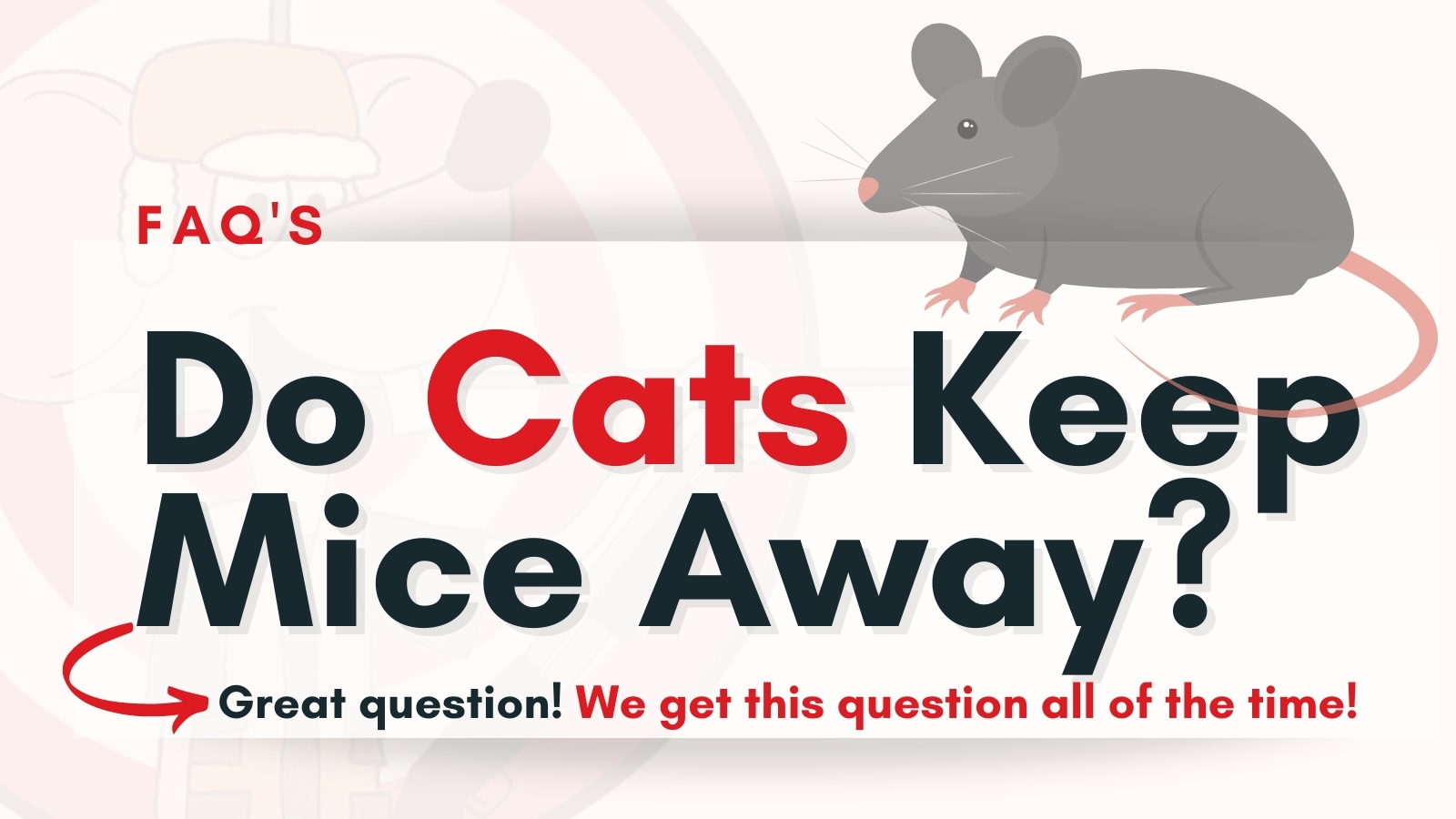 How Cats Keep Mice Away Natural Pest Control Secrets