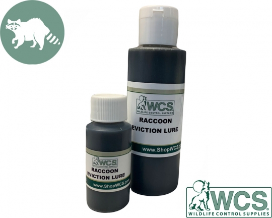 Raccoon Eviction Fluid Ultimate Guide to Safe Wildlife Removal