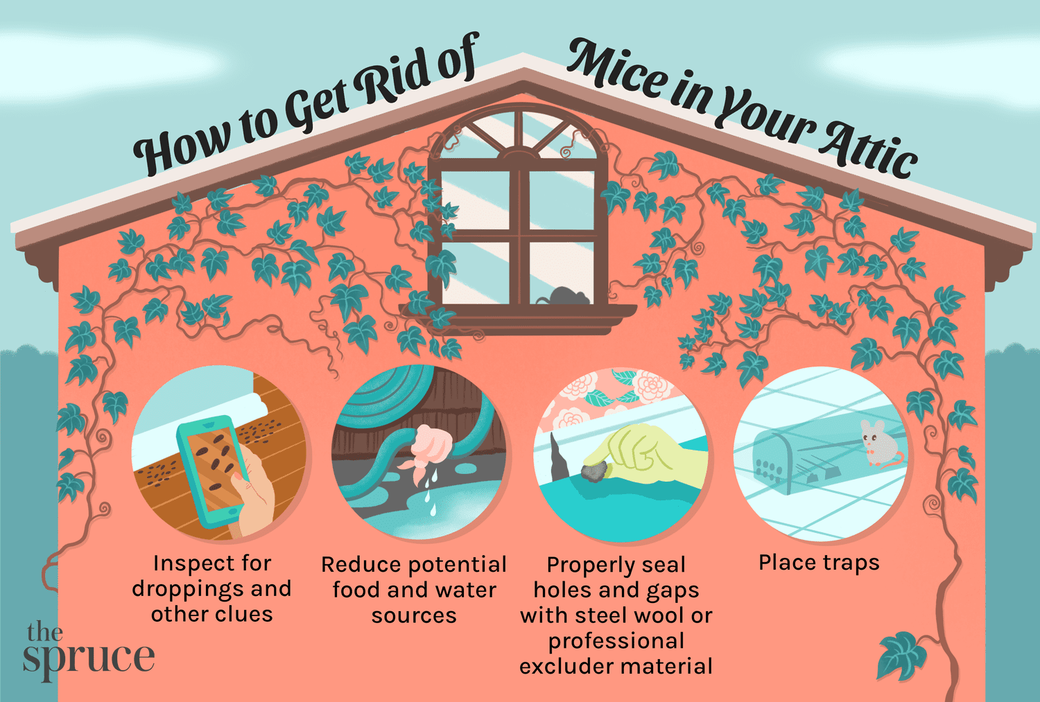 4 Sounds Mice Make in Sheds Identifying Rodent Noises