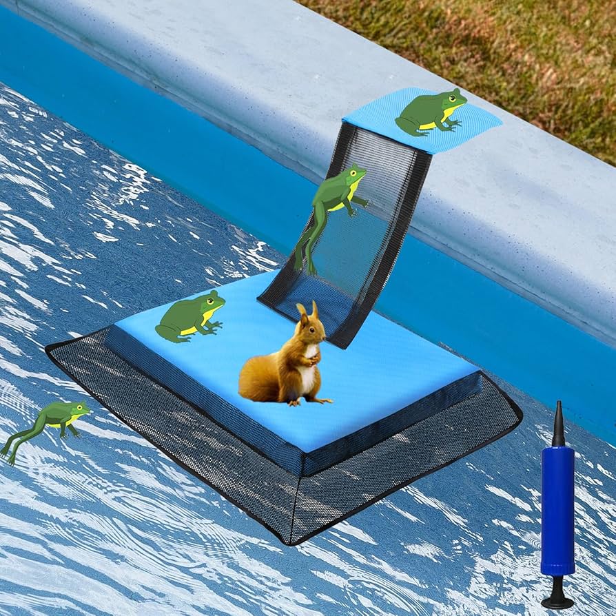 11 Easy Tips To Keep Chipmunks Out Of Your Swimming Pool Effective Solutions