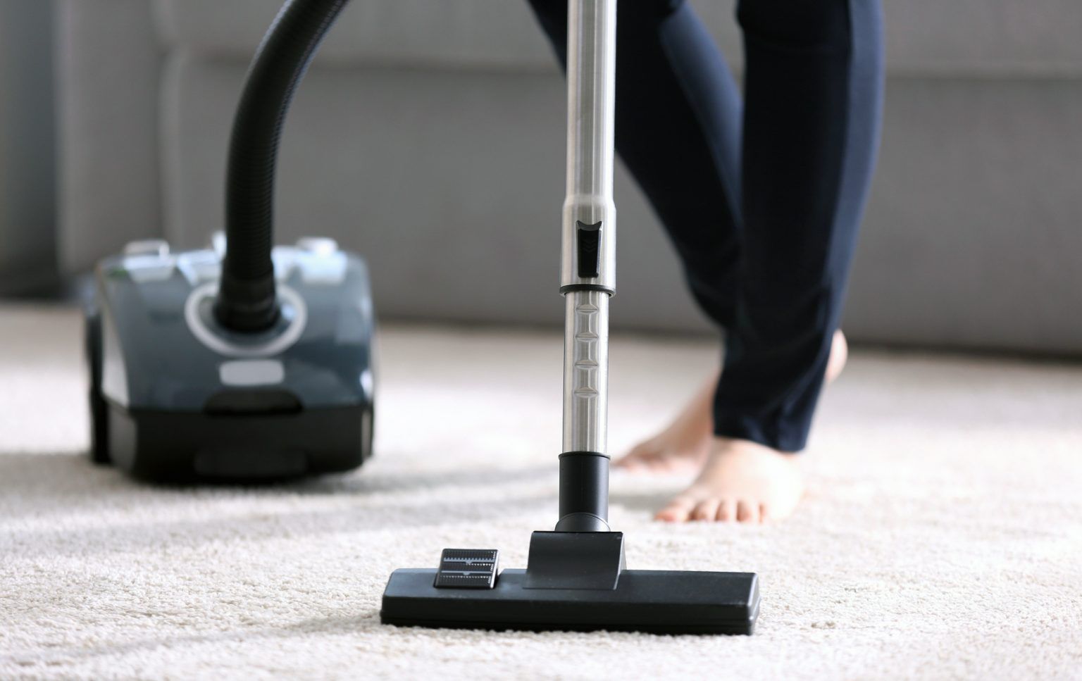 How To Get Rid Of Ants In Your Carpet (The Simple Way)