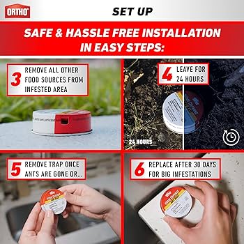 How To Get Ants Out Of Electronics (Without The Hassle)