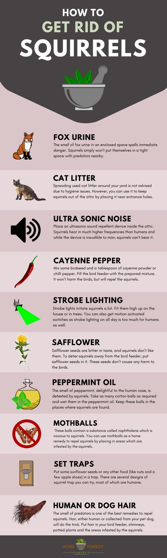 Will Mothballs Repel Squirrels & Keep Them Away?