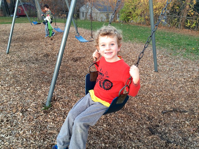 10 Ways Squirrelsâ Get Into Your House (And How To Get Them Out)