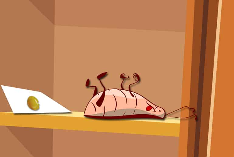 Advion Cockroach Gel Bait How Well Does It Work?