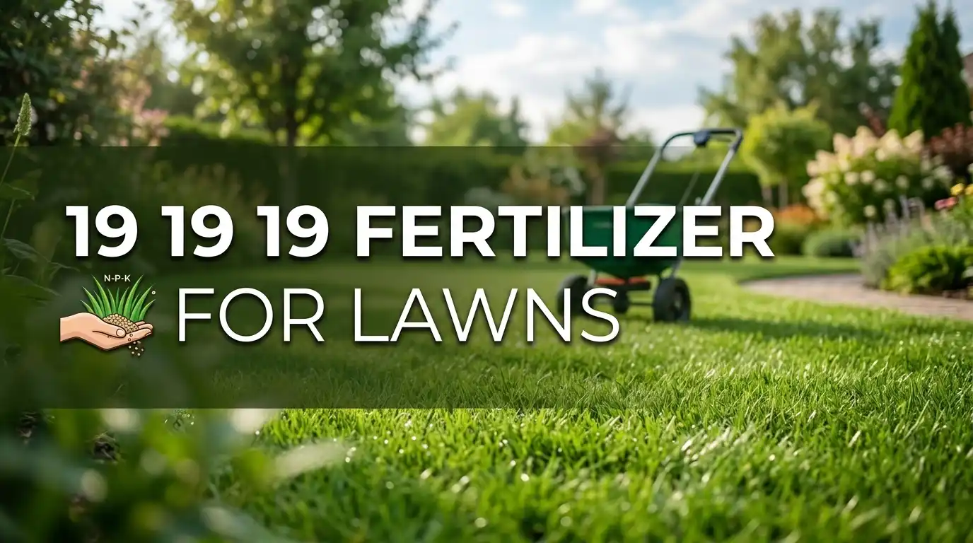 19 19 19 Fertilizer For Lawns