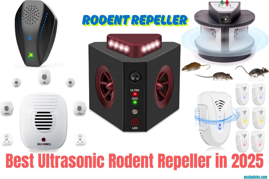 Best Ultrasonic Rodent Repeller in 2025 Top Picks for a Pest-Free Home ...
