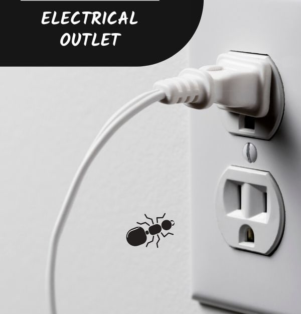 How To Get Rid Of Ants In Electrical Outlets (Quickly) — Pest Pointer