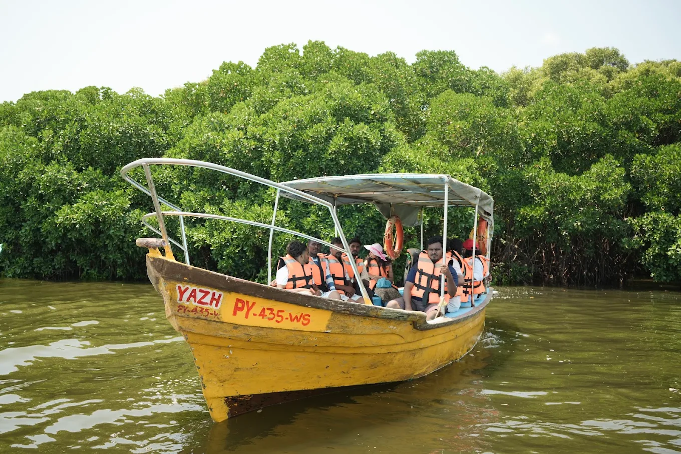 Mangrove Boat Ride