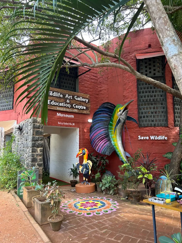 Wildlife Art Gallery