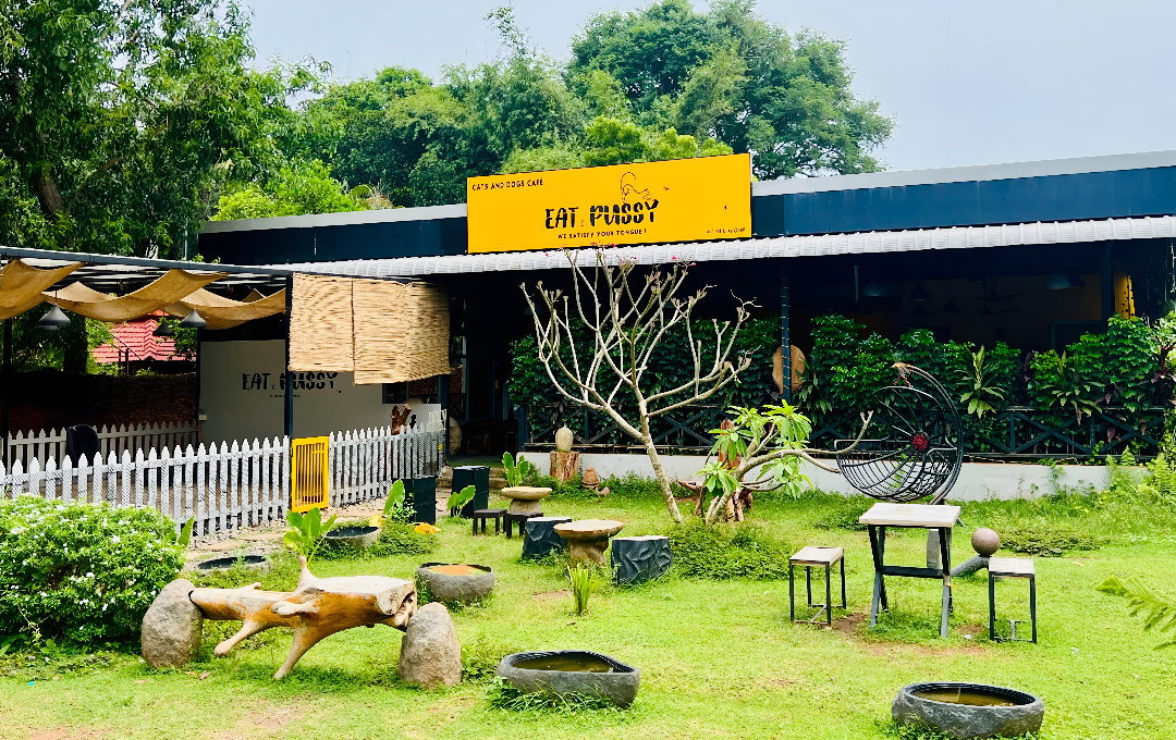 Eat Pussy-auroville