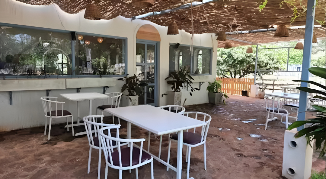 AURORA CAFÉ