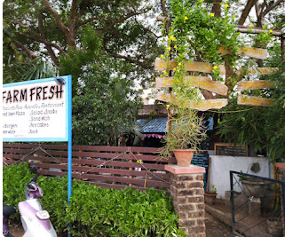 Farm Fresh Auroville