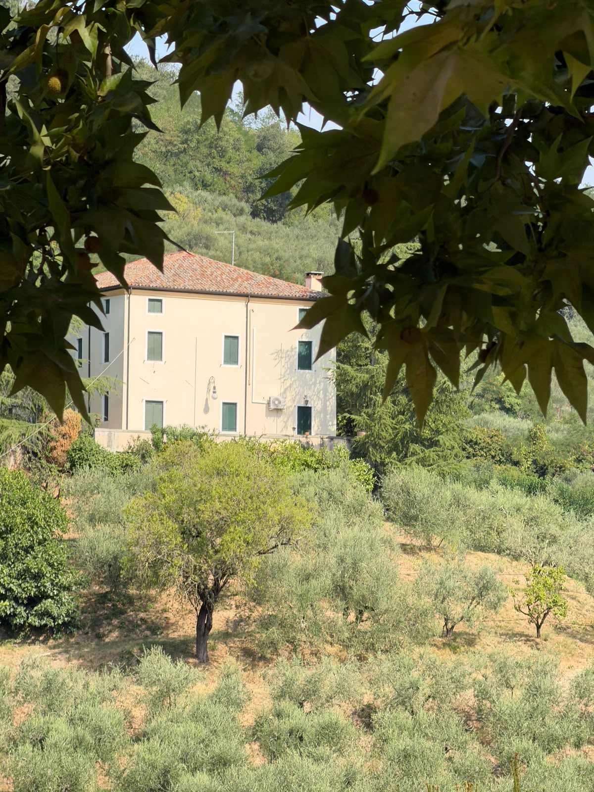 Venezianische Villa mit Weingarten und Olivenhain in Galzignano Terme