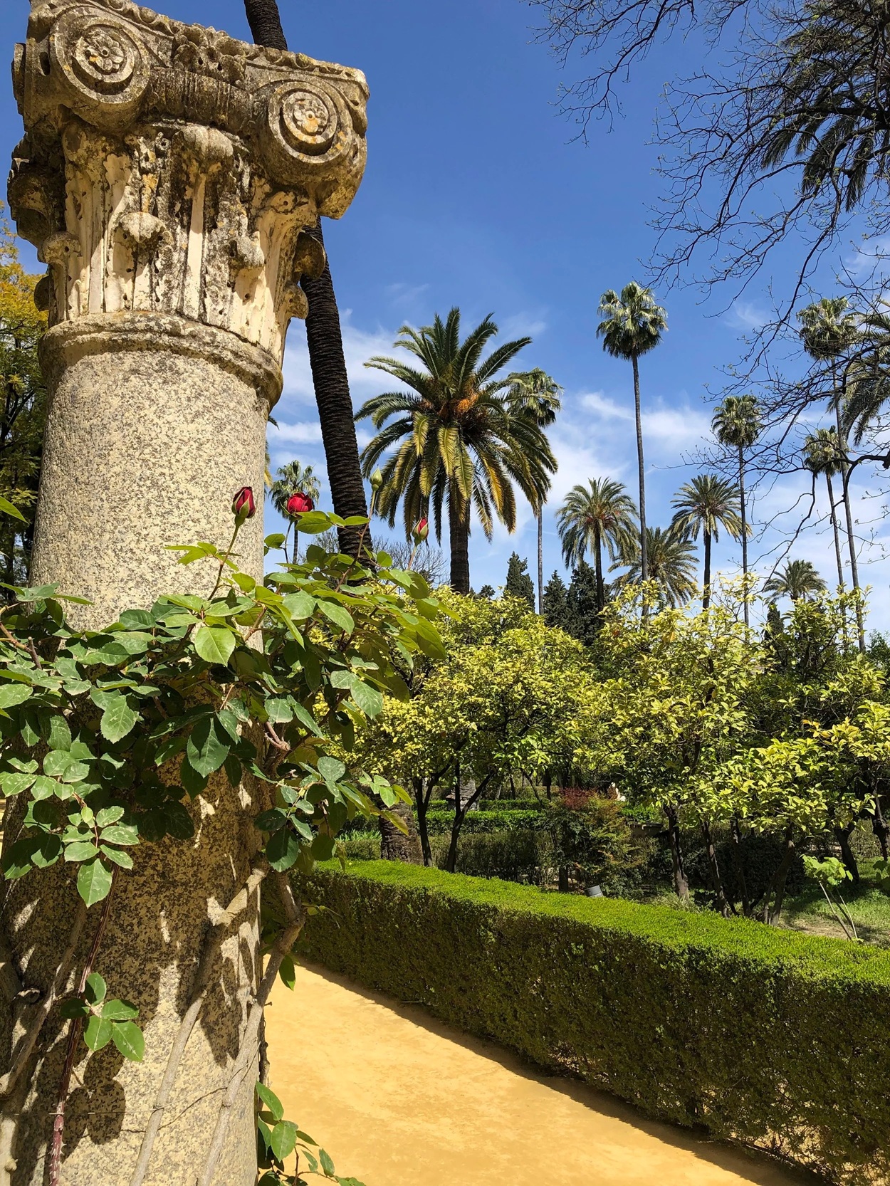 Alcázar gardens