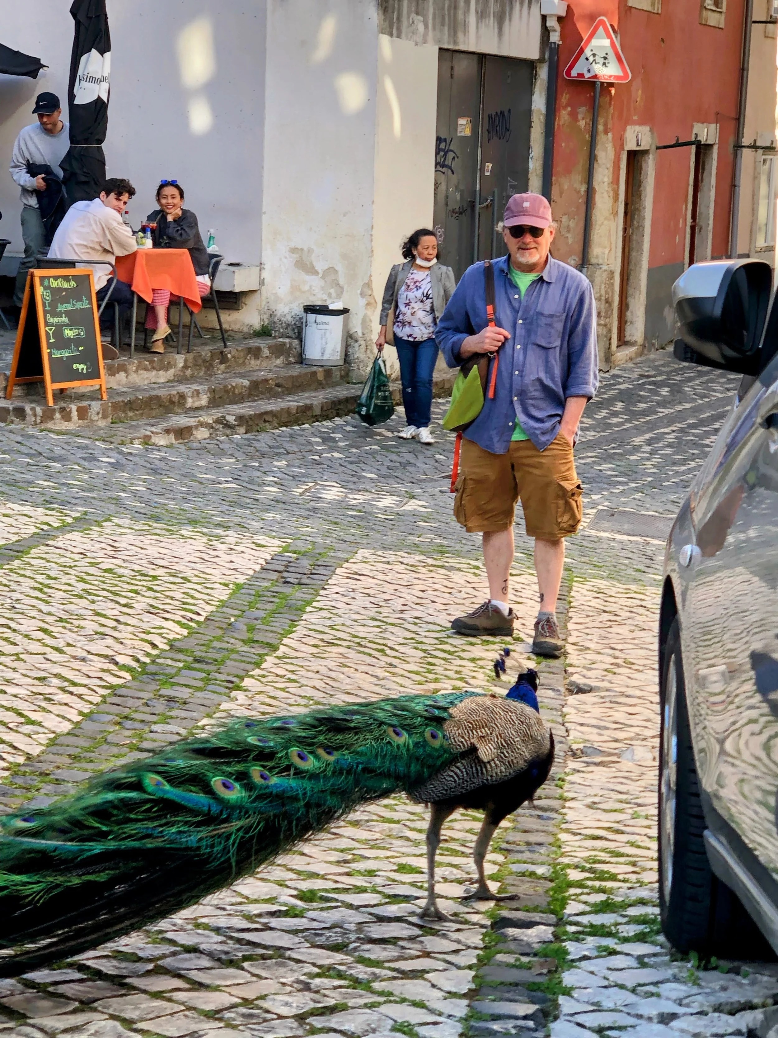Near the Sao Jorge Castle with peacocks