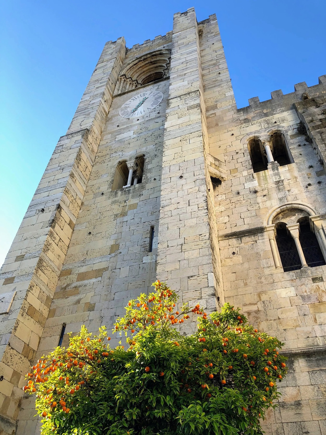 Orange trees in Lisbon