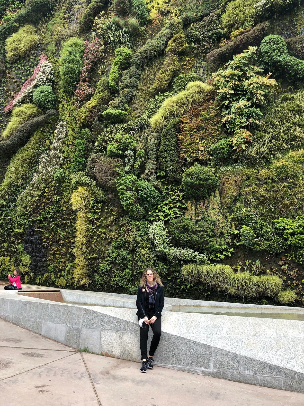 Vertical garden by Patrick Blanc