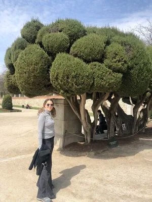 Broccoli trees in Retiro Park