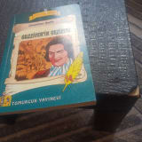 Resim 5