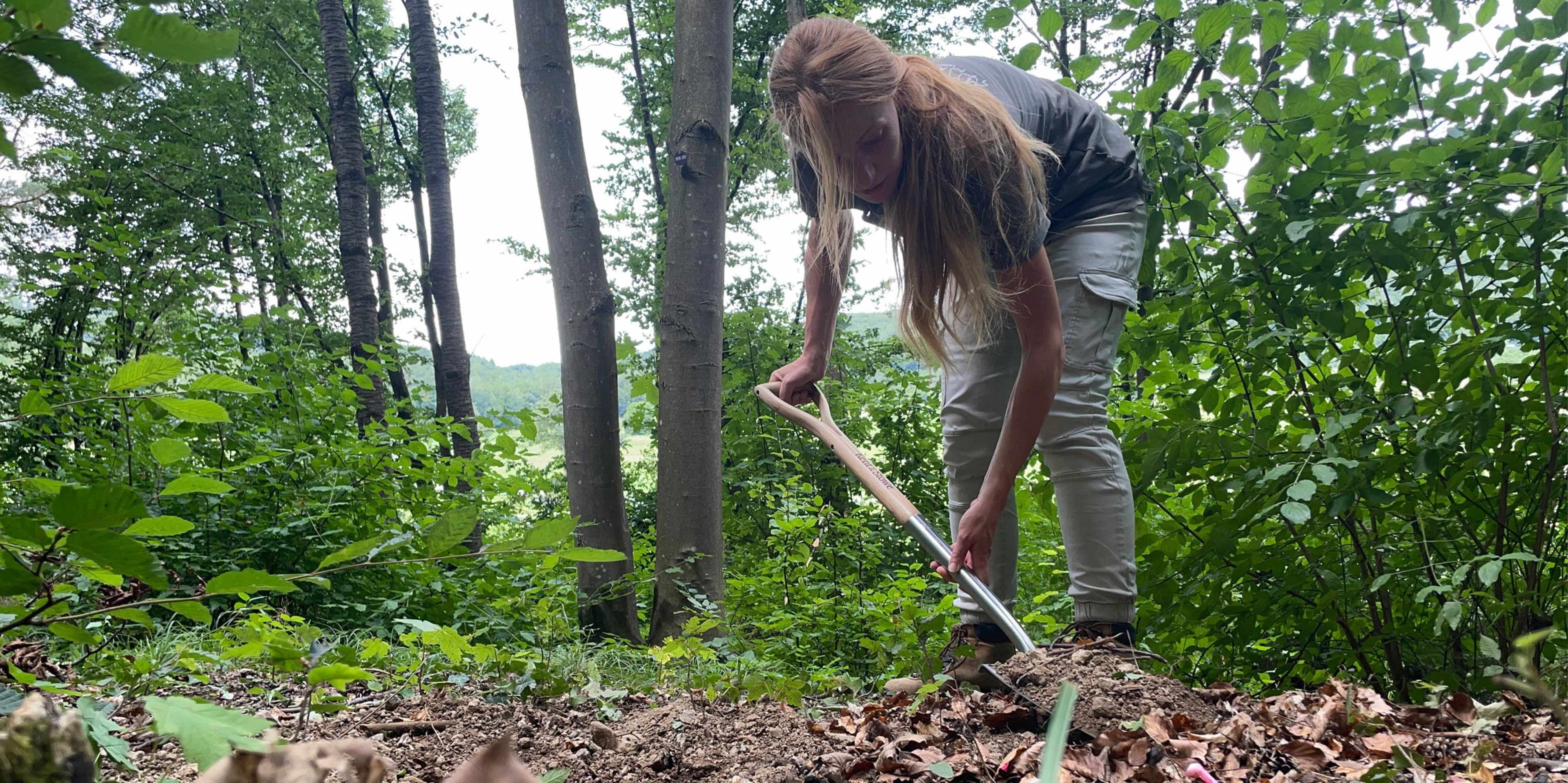 Waldservice_Blog2408_960x4802.jpg