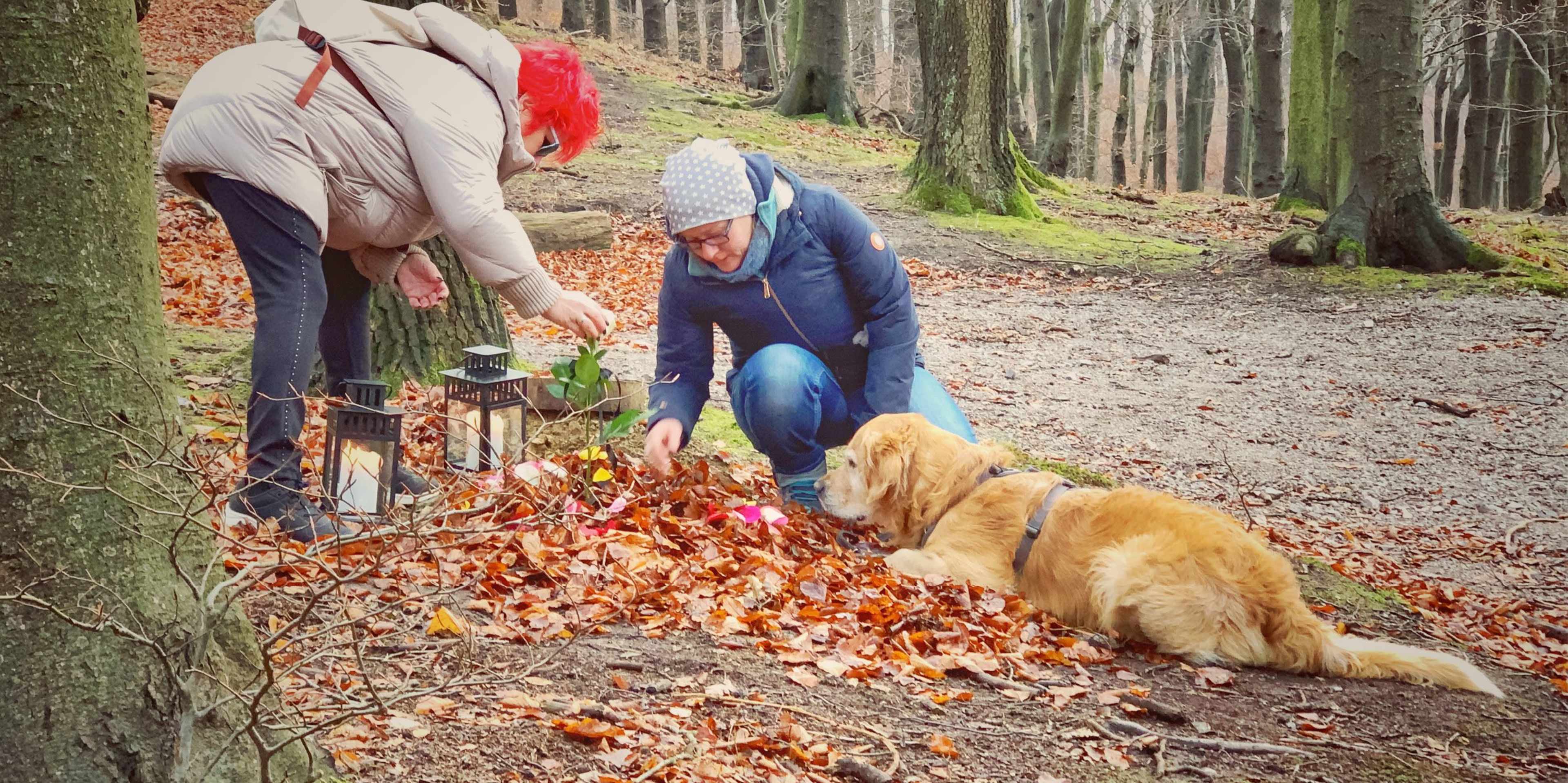 FB_KW_Abschied_einzigartig_960x480px_V018.jpg