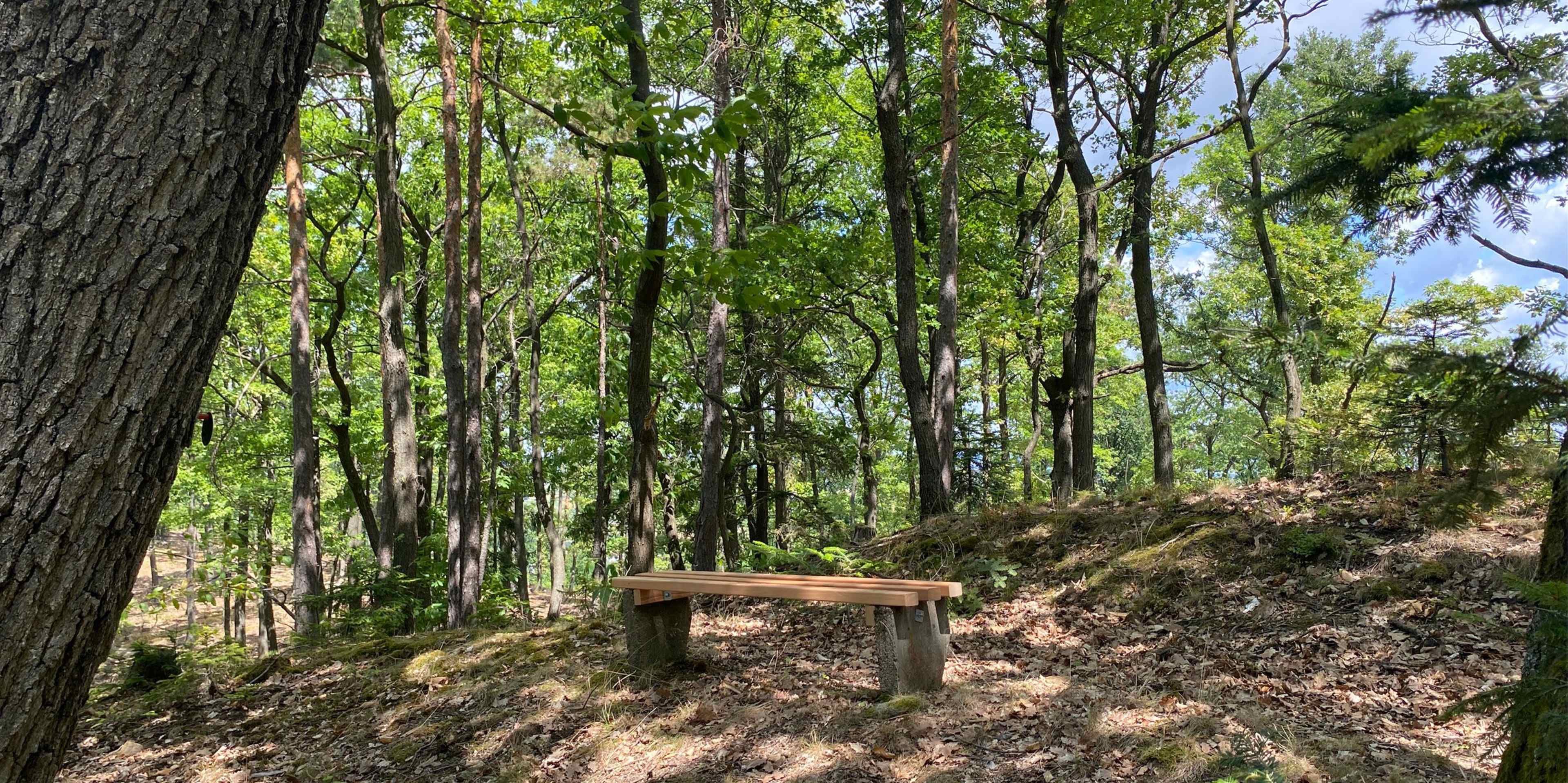 Blog_BSB_neue_Aufgabe_960x480px_V019.jpg