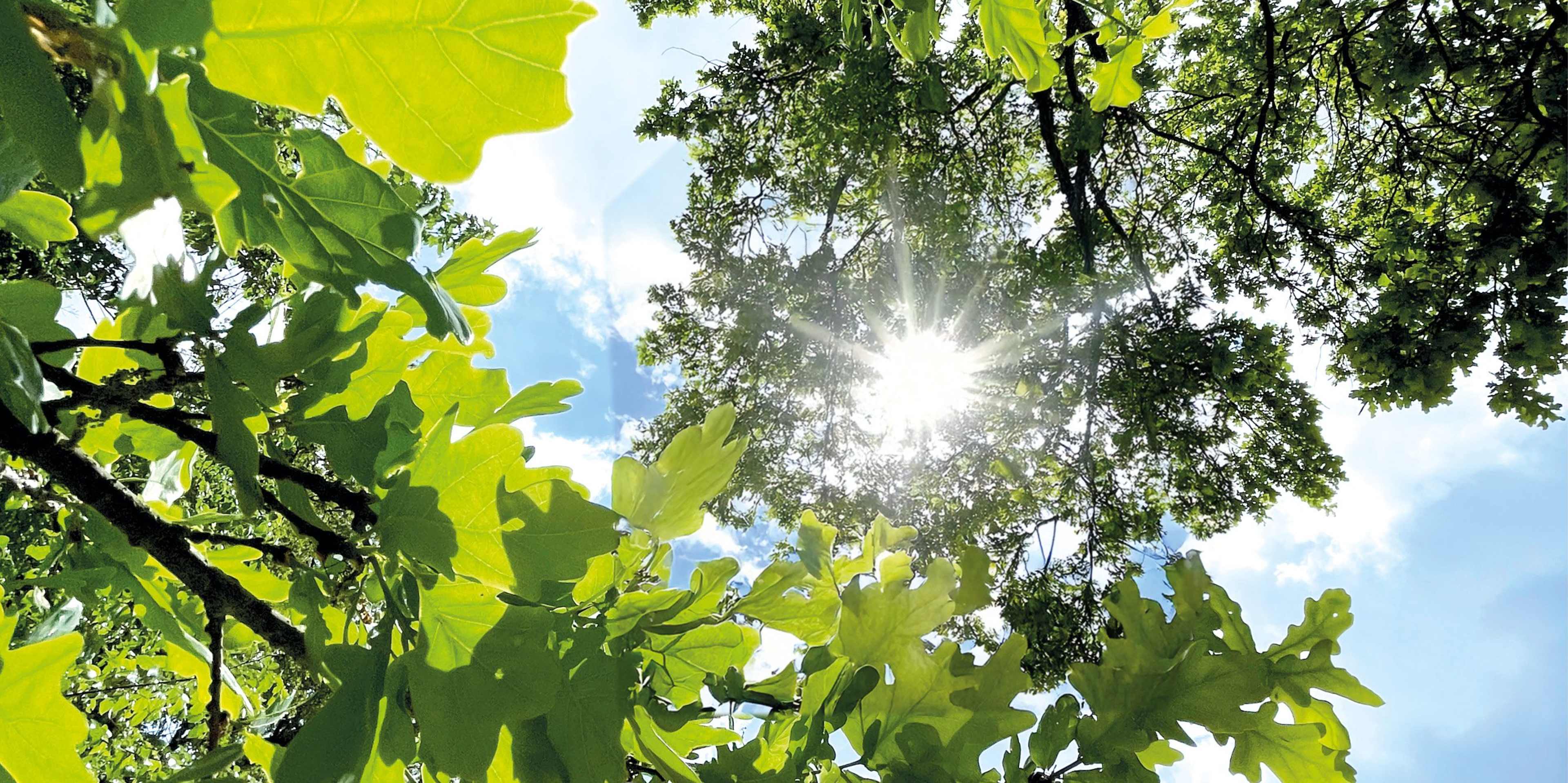 Blog_BSB_neue_Aufgabe_960x480px_V01.jpg