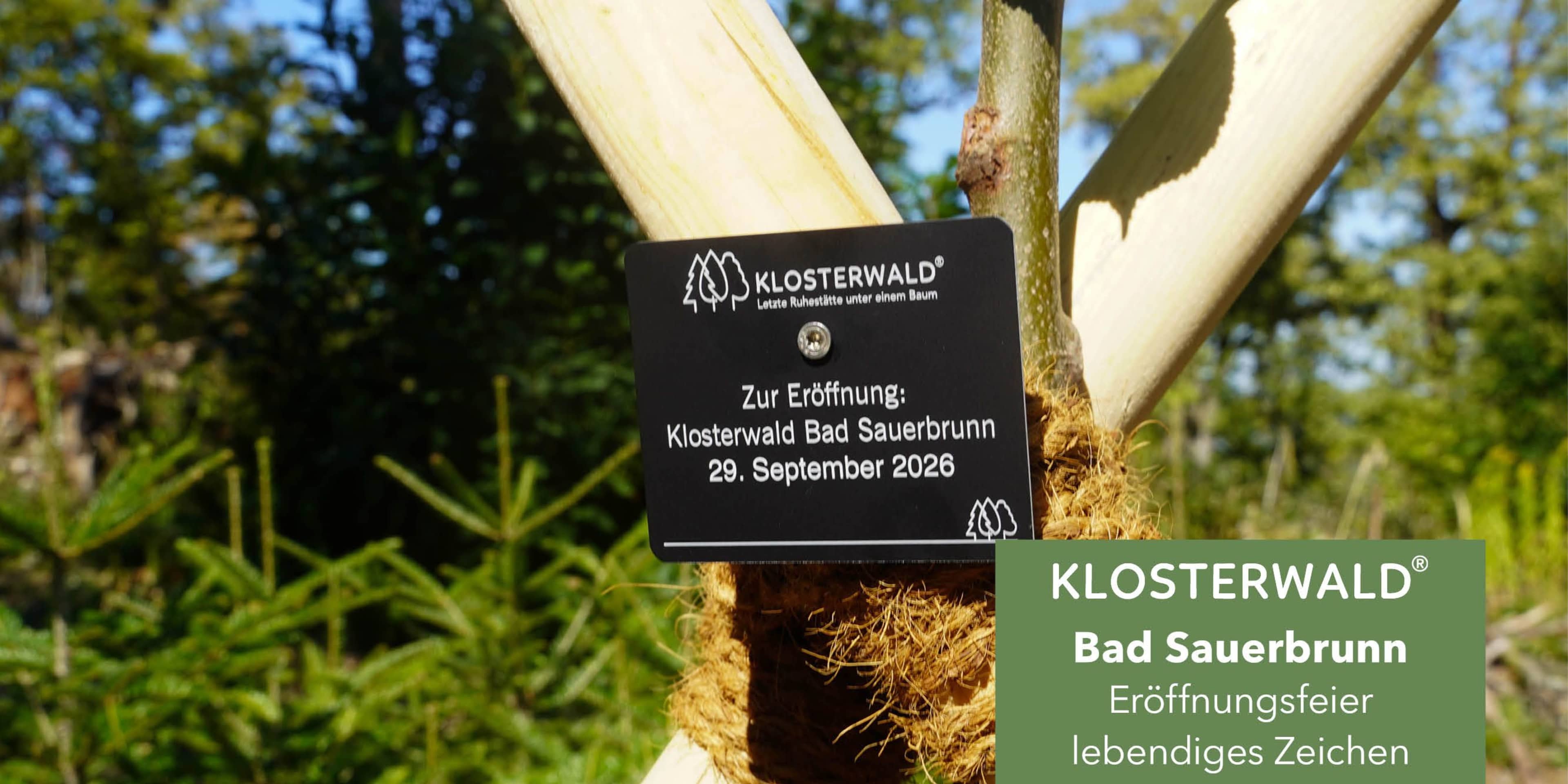 Blog_BSB_Eroeffnung_960x480px_V0118.jpg
