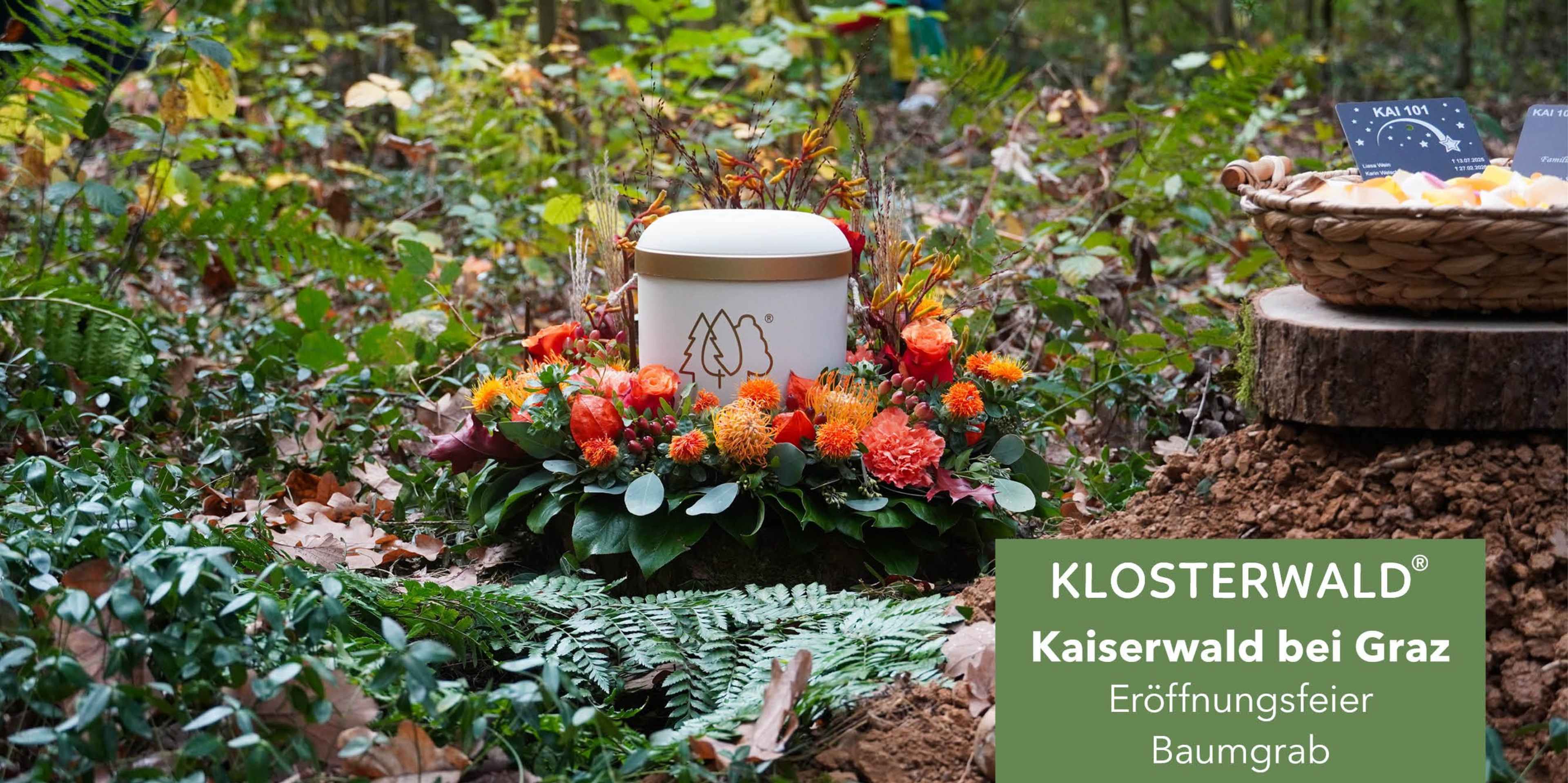 Blog_KAI_Eroeffnung_960x480px_V019.jpg