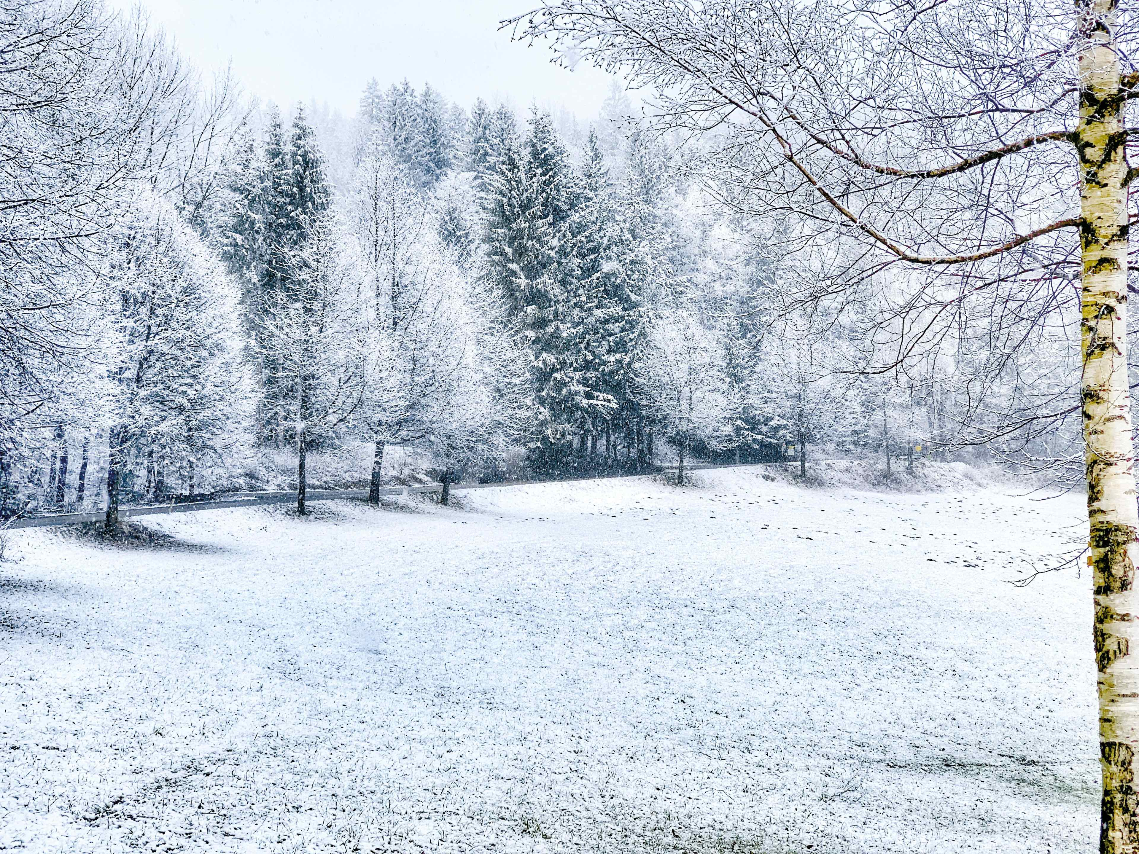 KAW_Winter_IMG_8458_4c_RZ.jpg