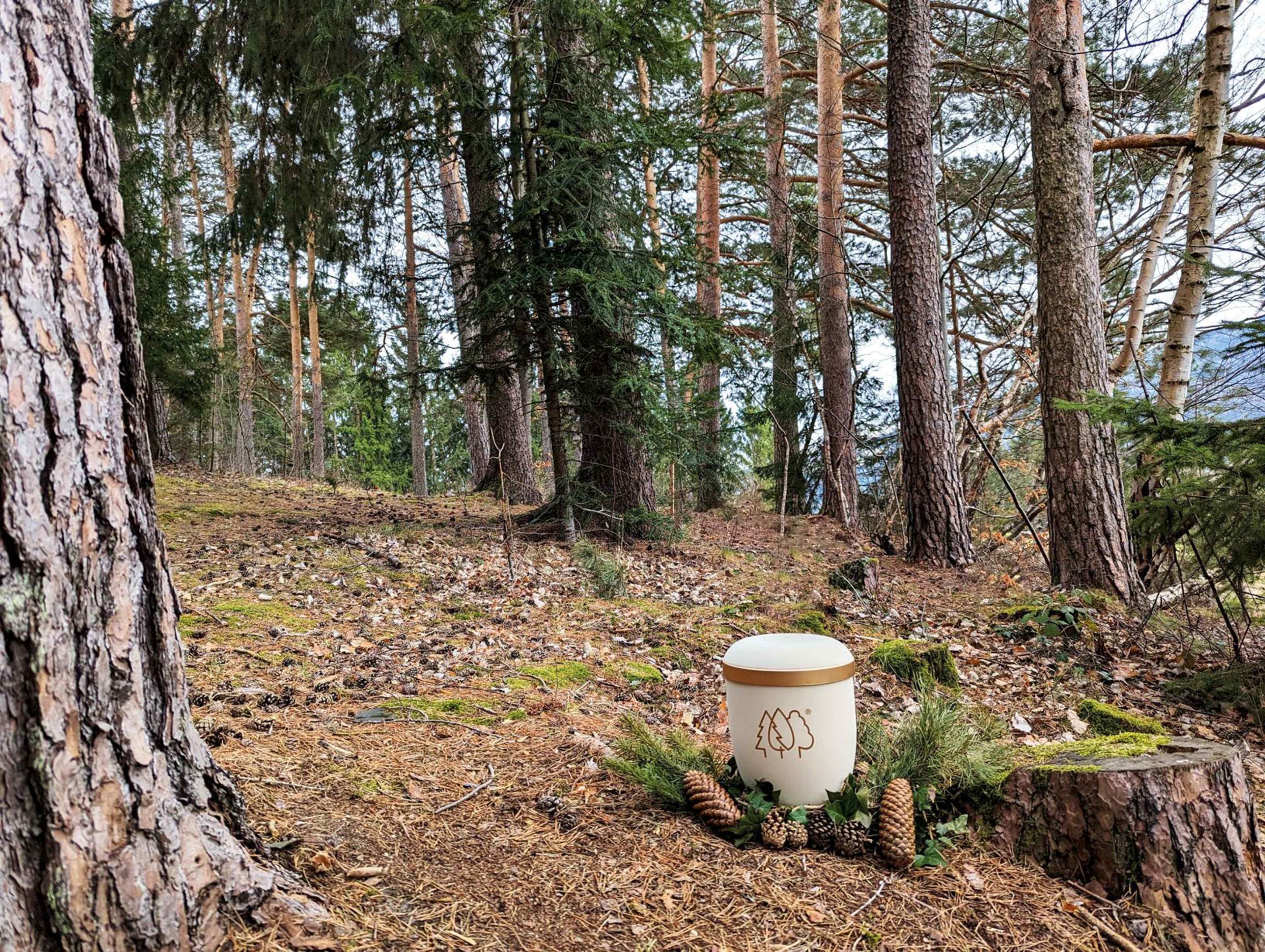 KAW_Frühling_Urne_PXL_20240302_122515448_WEB.jpg