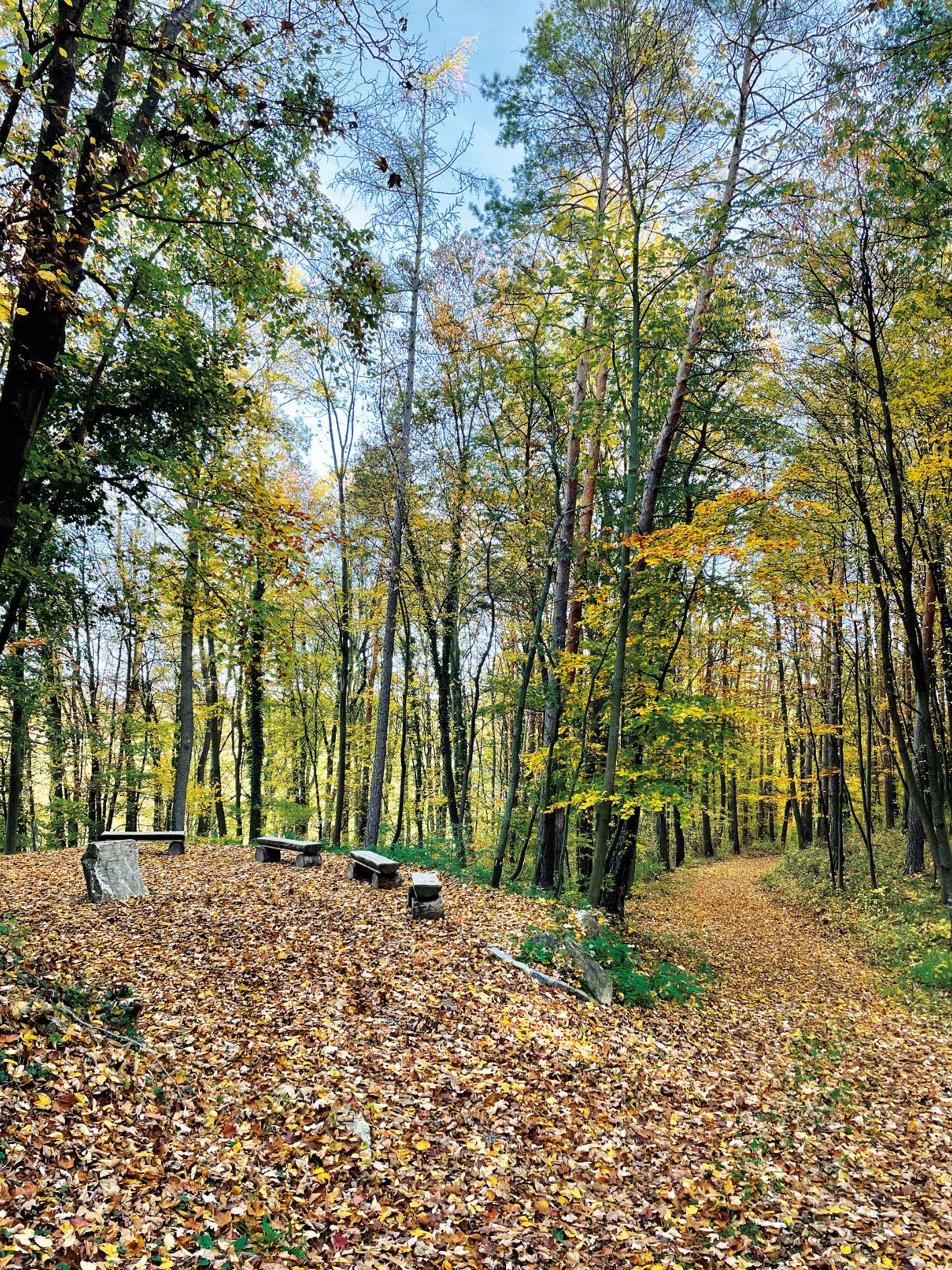 SHK_Herbst_Andachtsplatz_IMG_0452_WEB.jpg