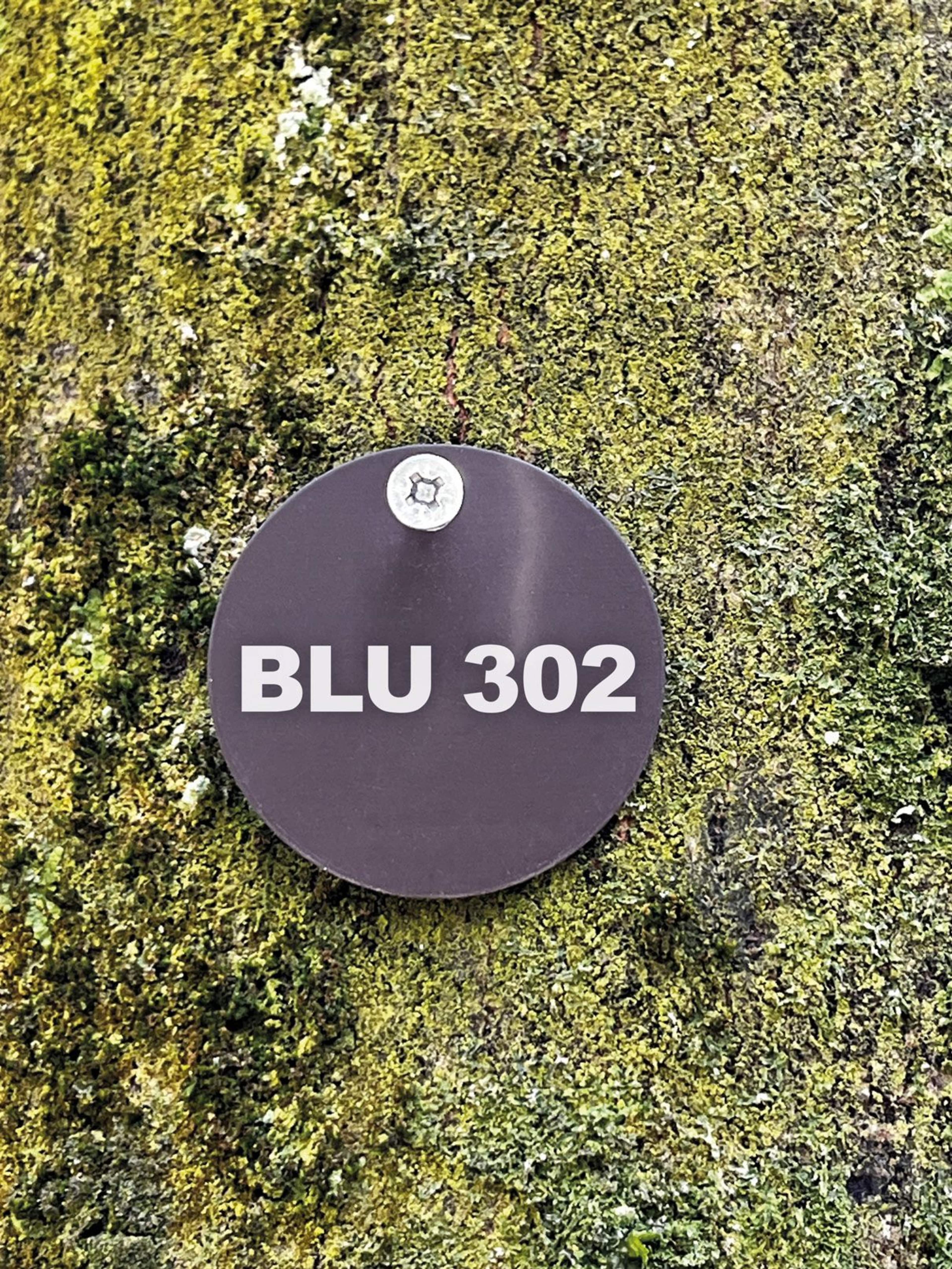 BLU_Baumnummer_WEB.jpg